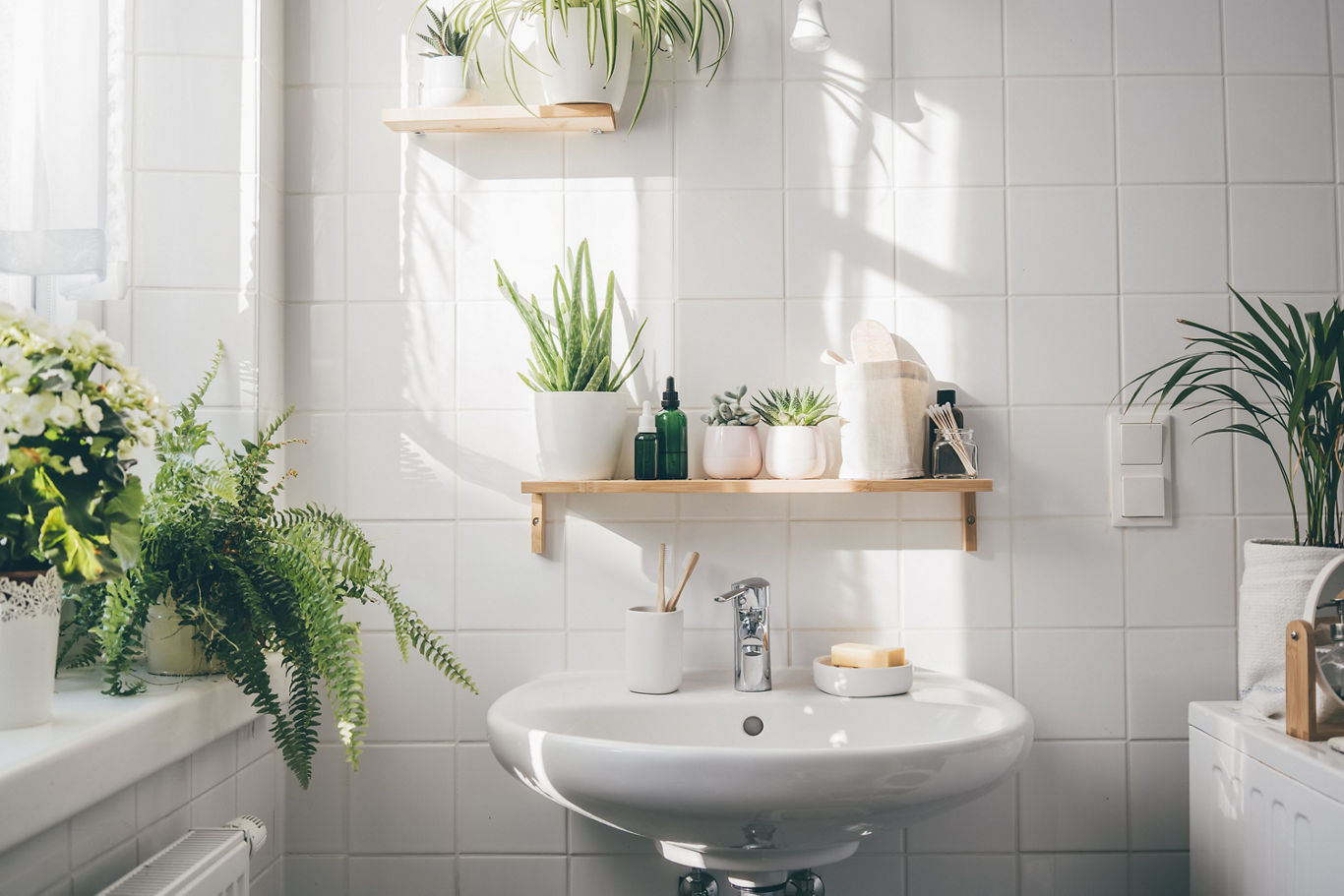 Bathroom with Plant Décor | Blog | Greystar 